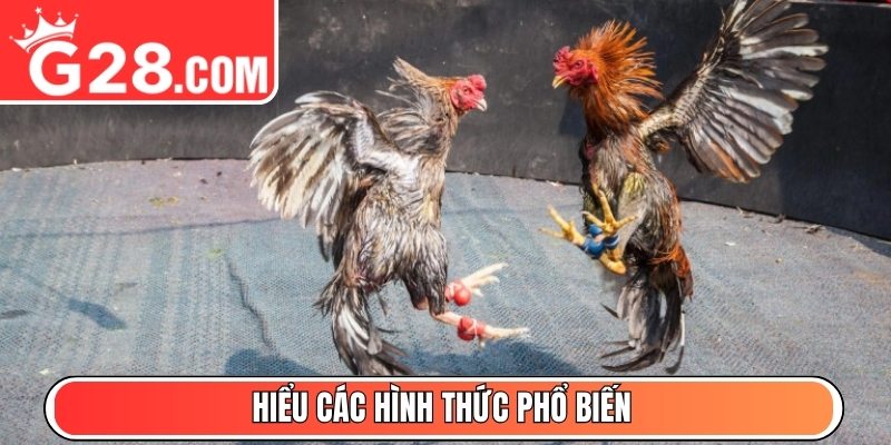 Hiểu các hình thức phổ biến