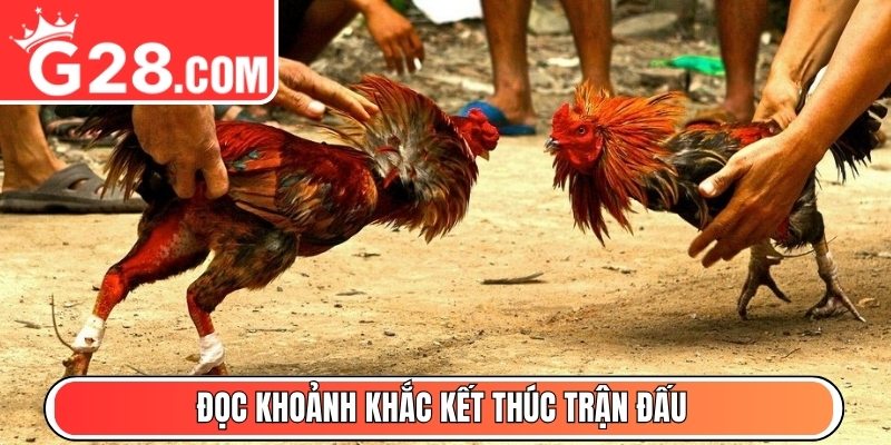 Đọc khoảnh khắc kết thúc trận đấu