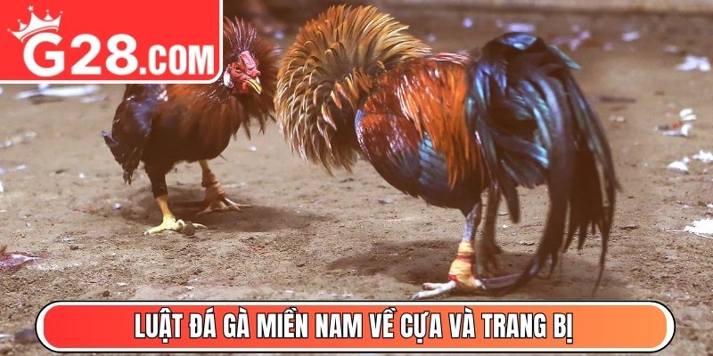 Luật đá gà miền Nam về cựa và trang bị