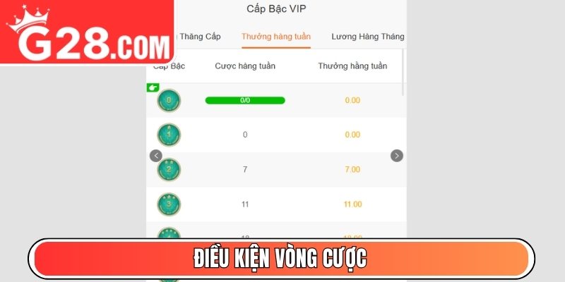 Điều kiện vòng cược
