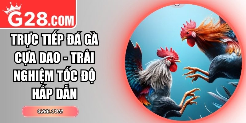 Trực tiếp đá gà cựa dao
