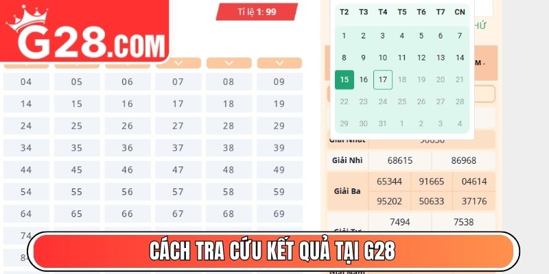 Cách tra cứu kết quả tại G28